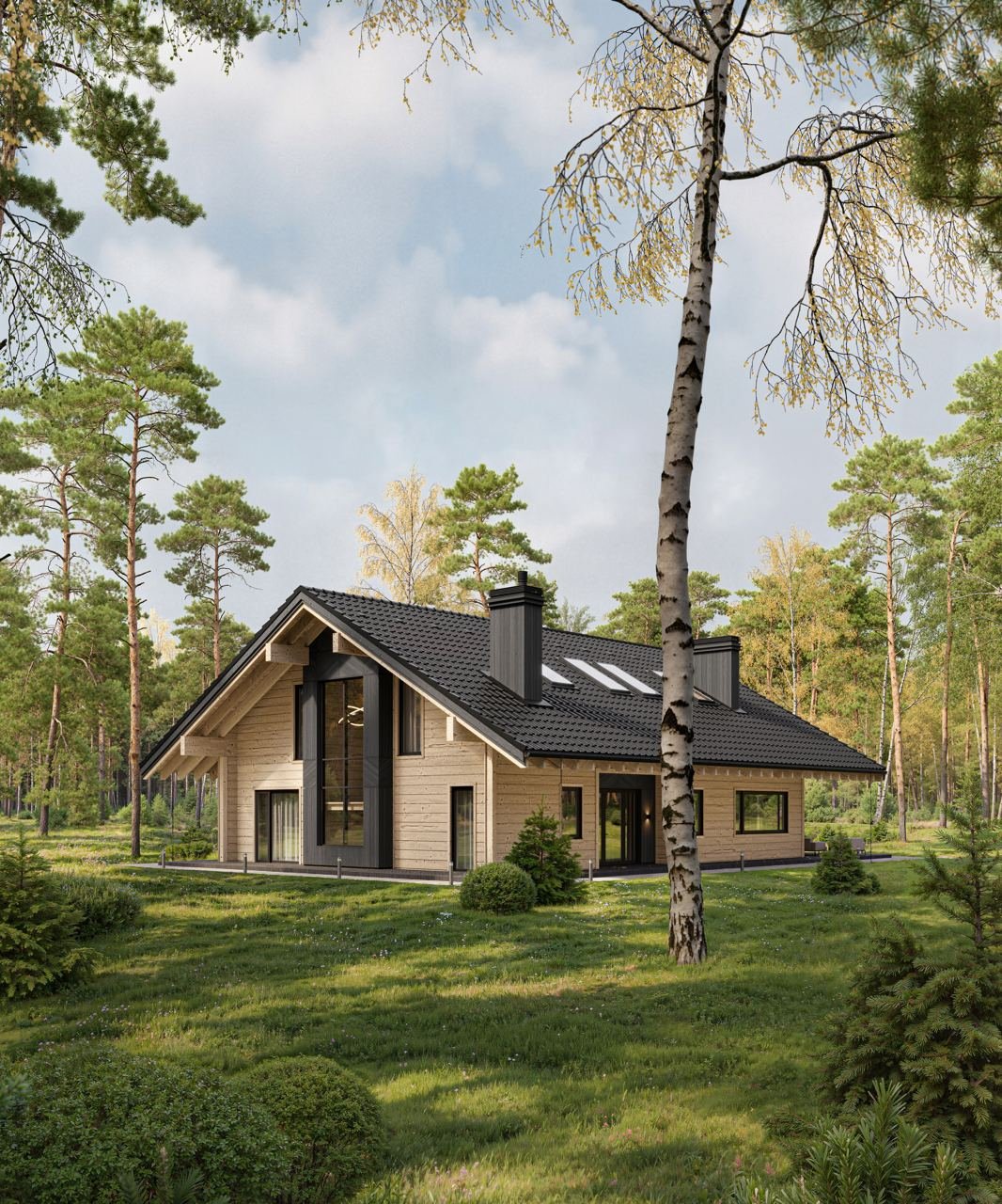 Project Preview Image