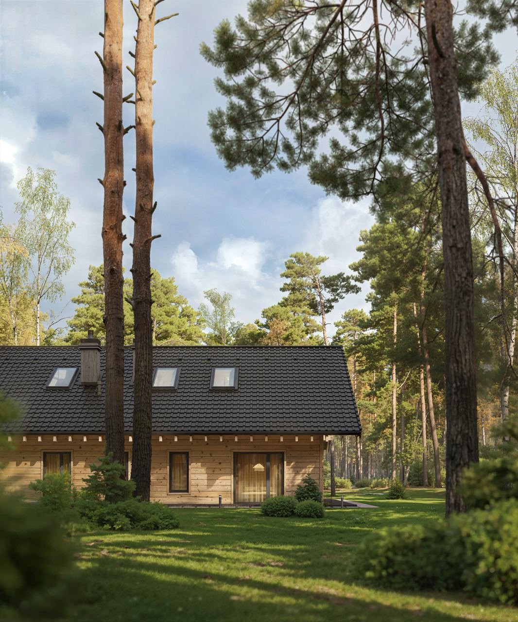 Project Preview Image