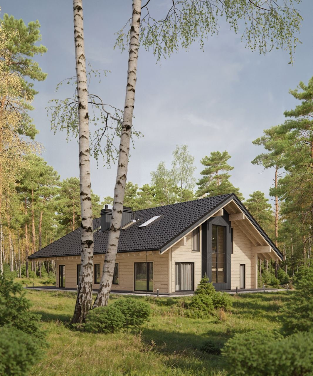 Project Preview Image